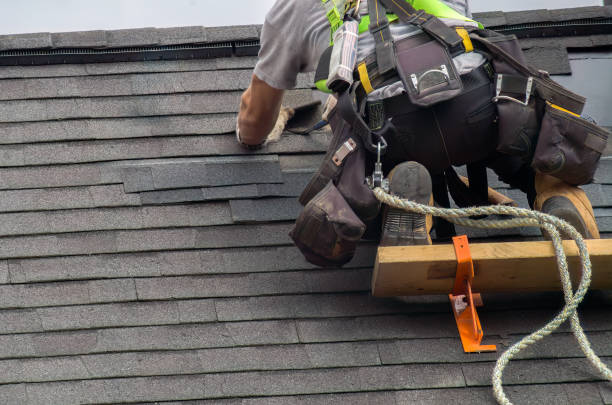 Best Green or Eco-Friendly Roofing Solutions  in Beach Park, IL