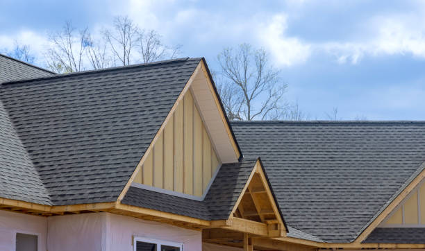 Best Rubber Roofing (EPDM, TPO)  in Beach Park, IL
